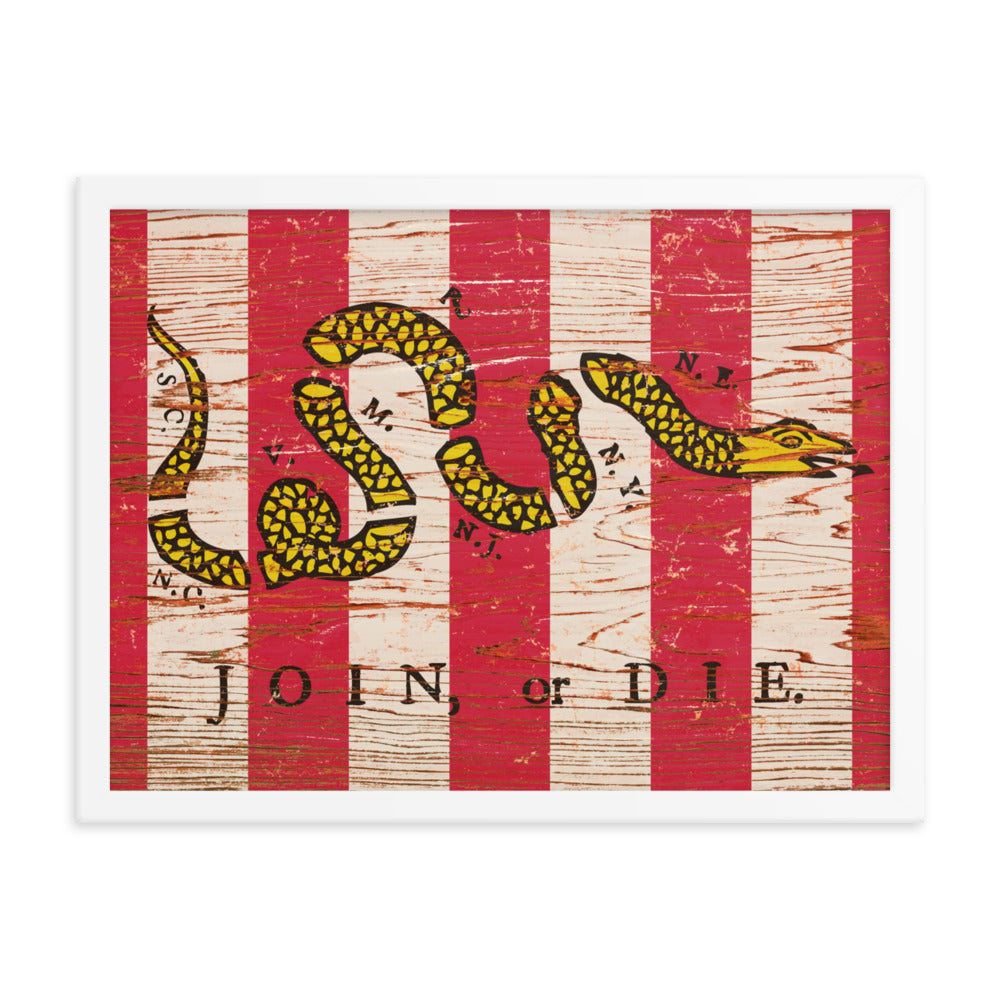 Join Or Die Sons of Liberty Framed poster