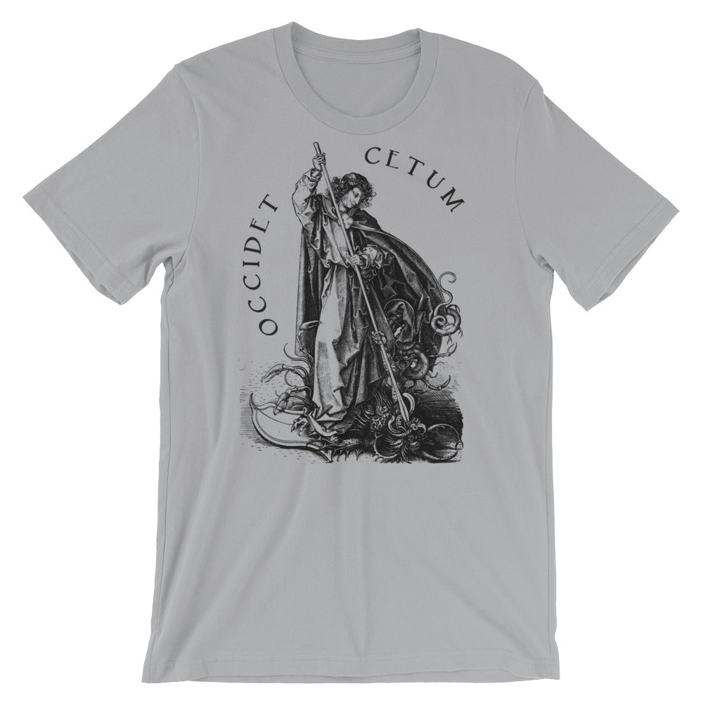 Slay Thy Dragon St George Graphic T-Shirt