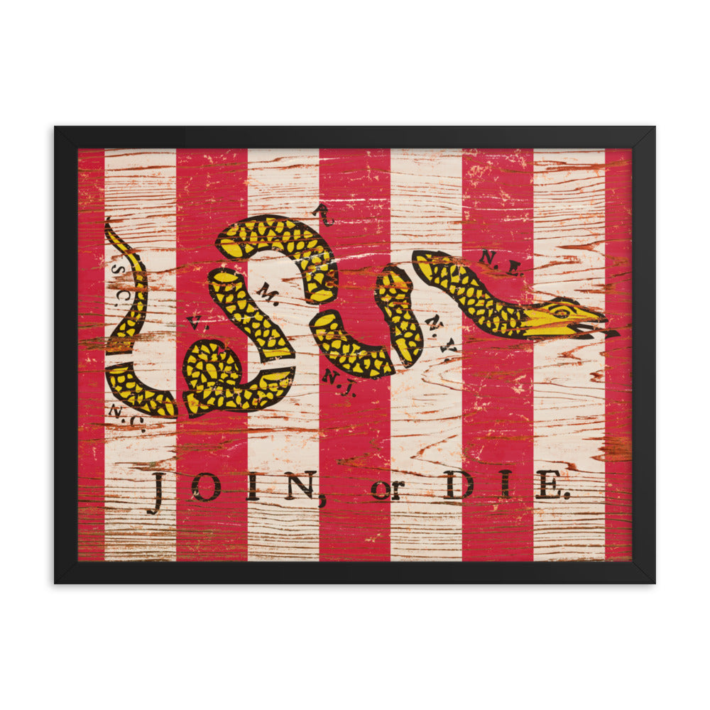 Join Or Die Sons of Liberty Framed poster