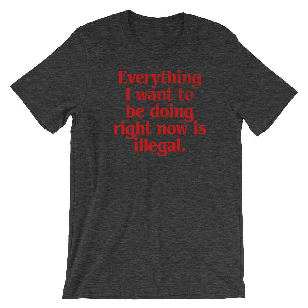 Everything I Want To Be Doing Right Now Is Illegal T-Shirt