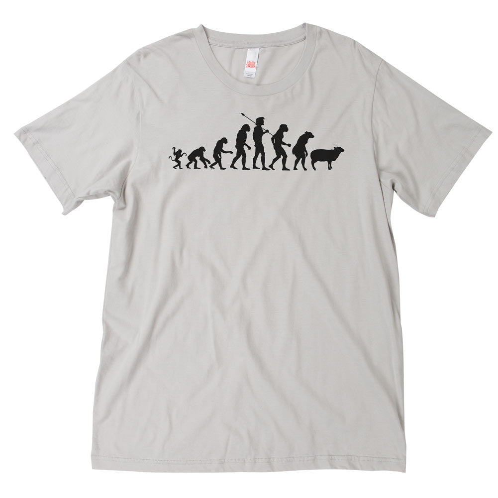 Evolution of Modern Man