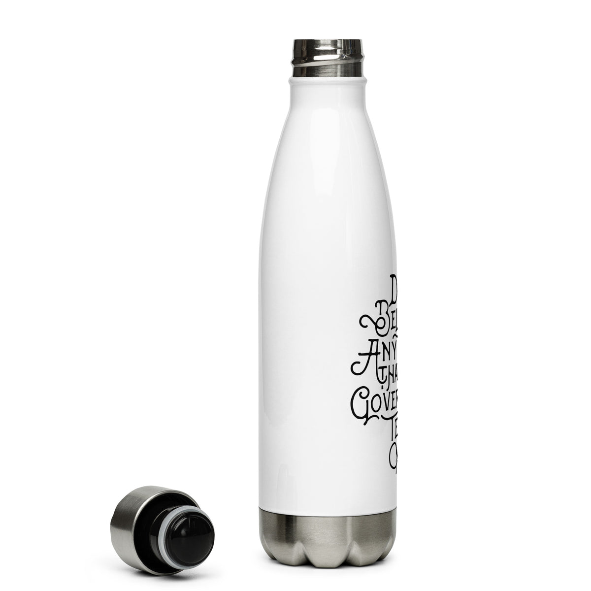 I Don&#39;t Believe anything the Government Tells Me Stainless Steel Water Bottle