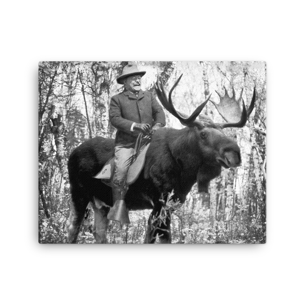 Teddy Roosevelt Riding a Bullmoose Canvas