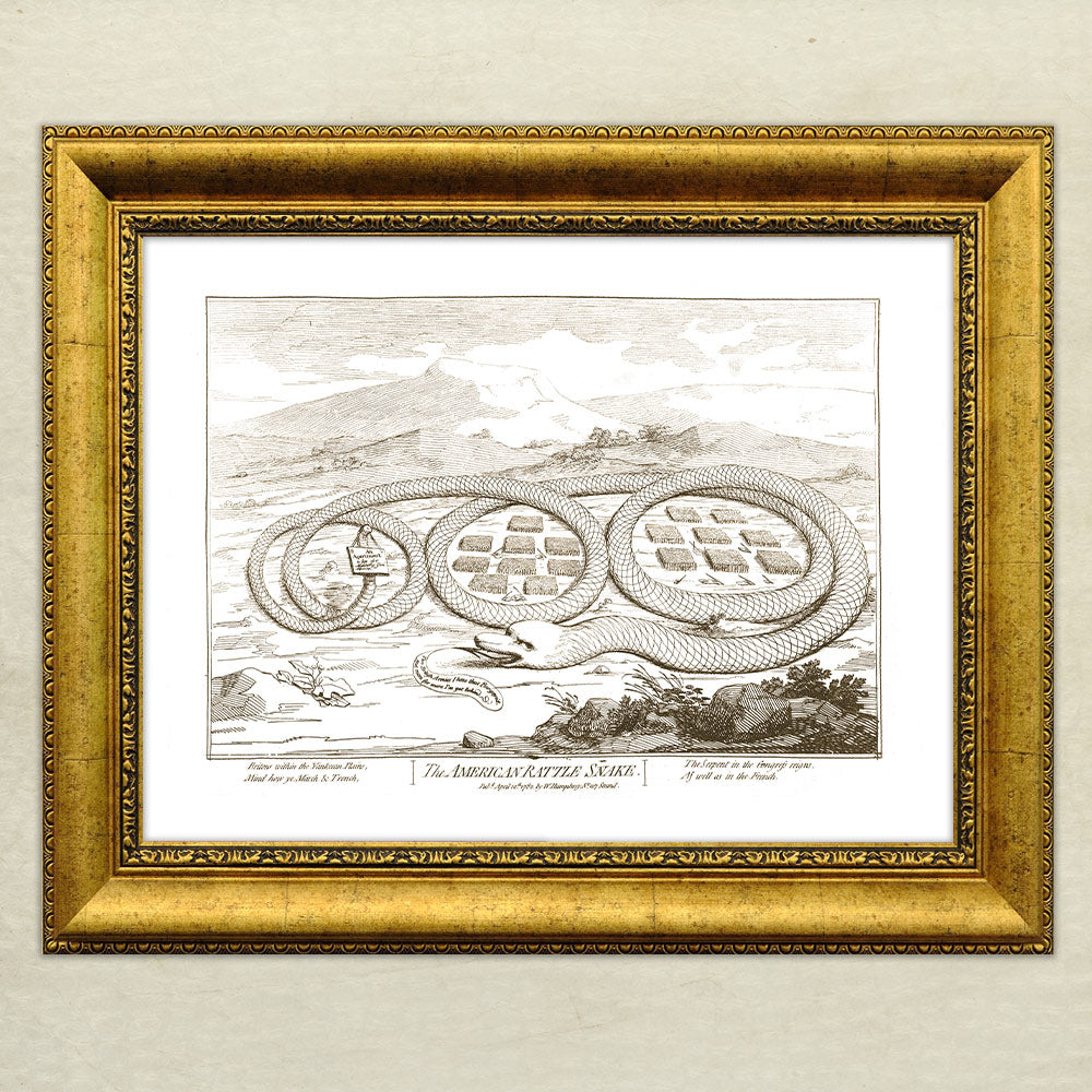 The American Rattle Snake Poster Giclée Print