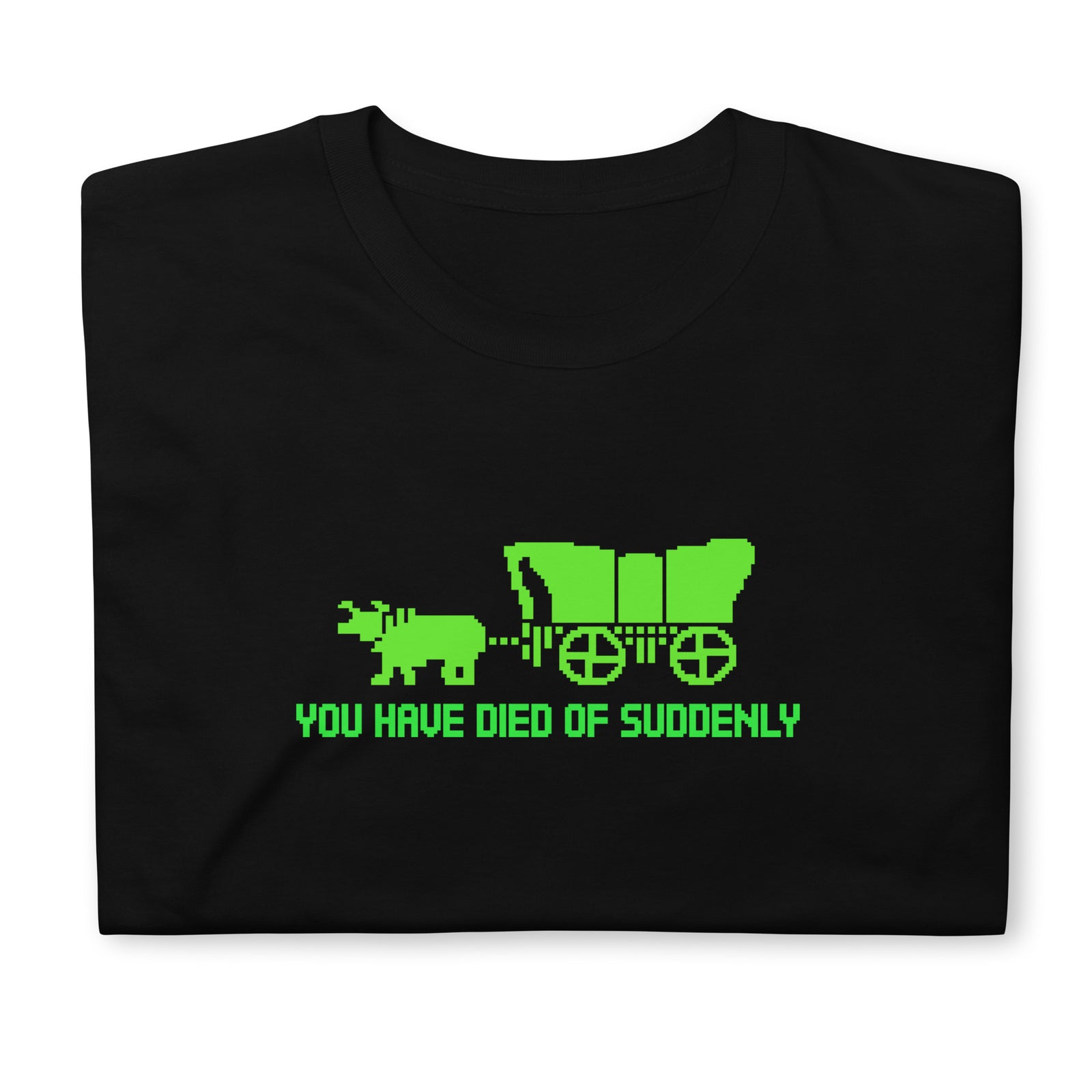 You Have Died of Suddenly T-Shirt
