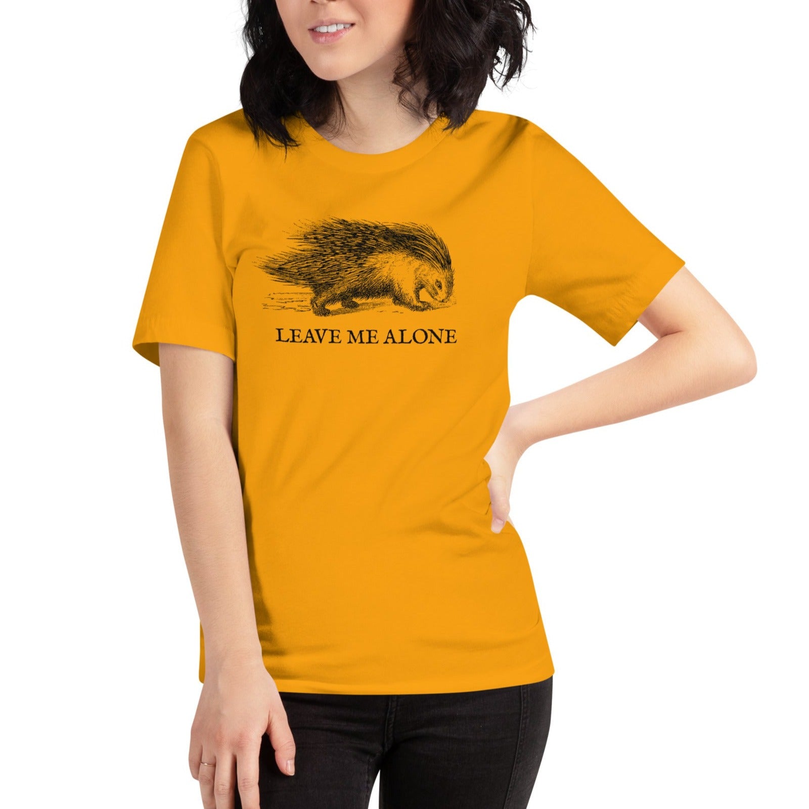 Leave Me Alone Porcupine Gadsden T-Shirt