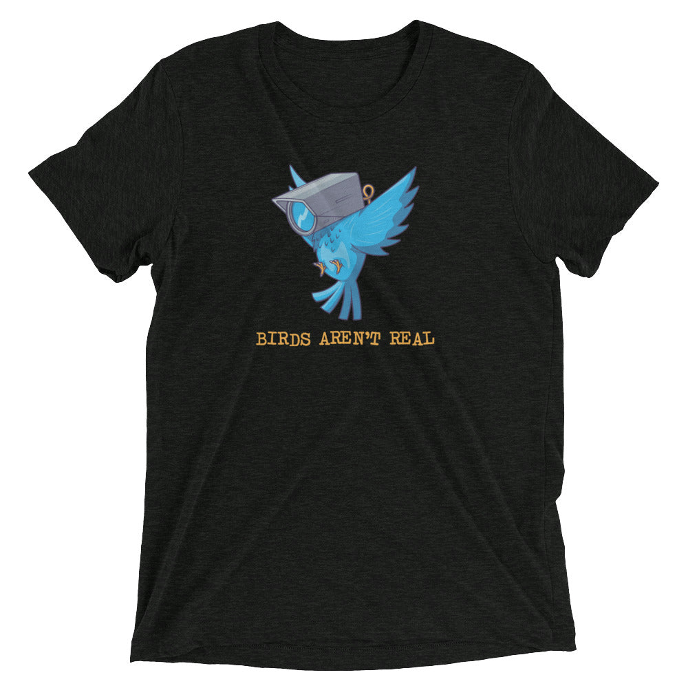 Birds Aren't Real Tri-Blend T-Shirt