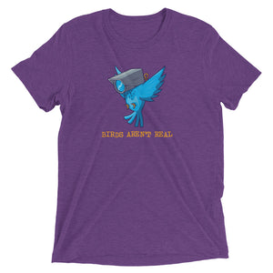 Birds Aren't Real Tri-Blend T-Shirt