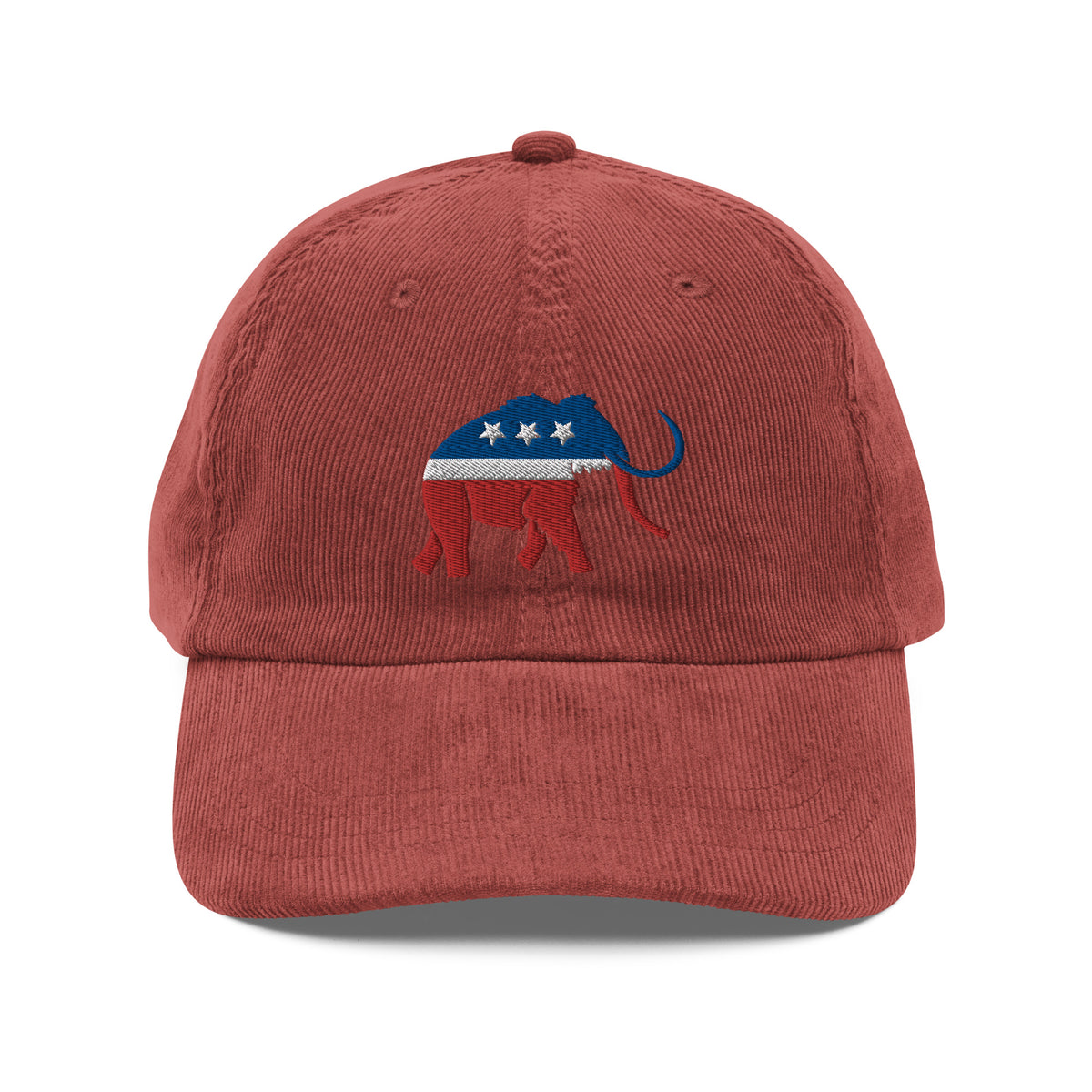 Paleoconservative Vintage corduroy cap