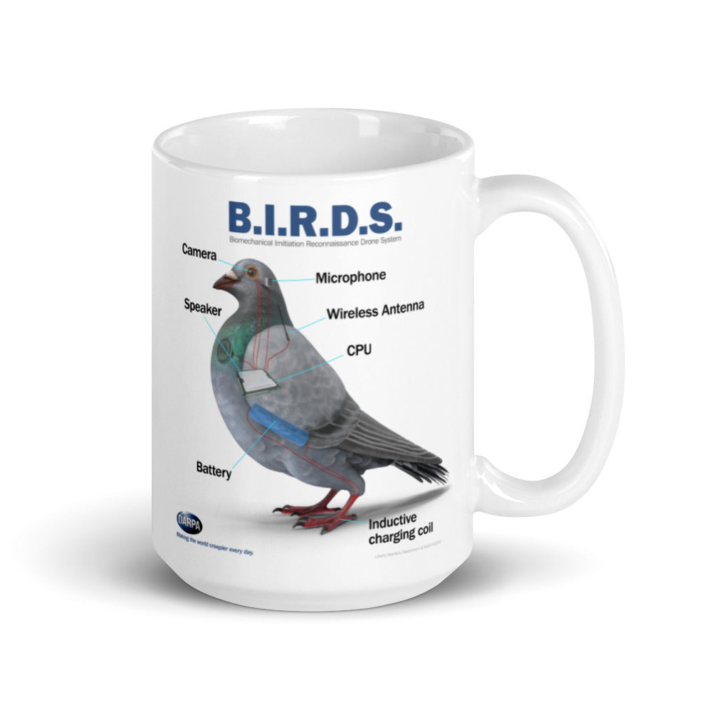 BIRDS Aren't Real Schematics Coffee Mug