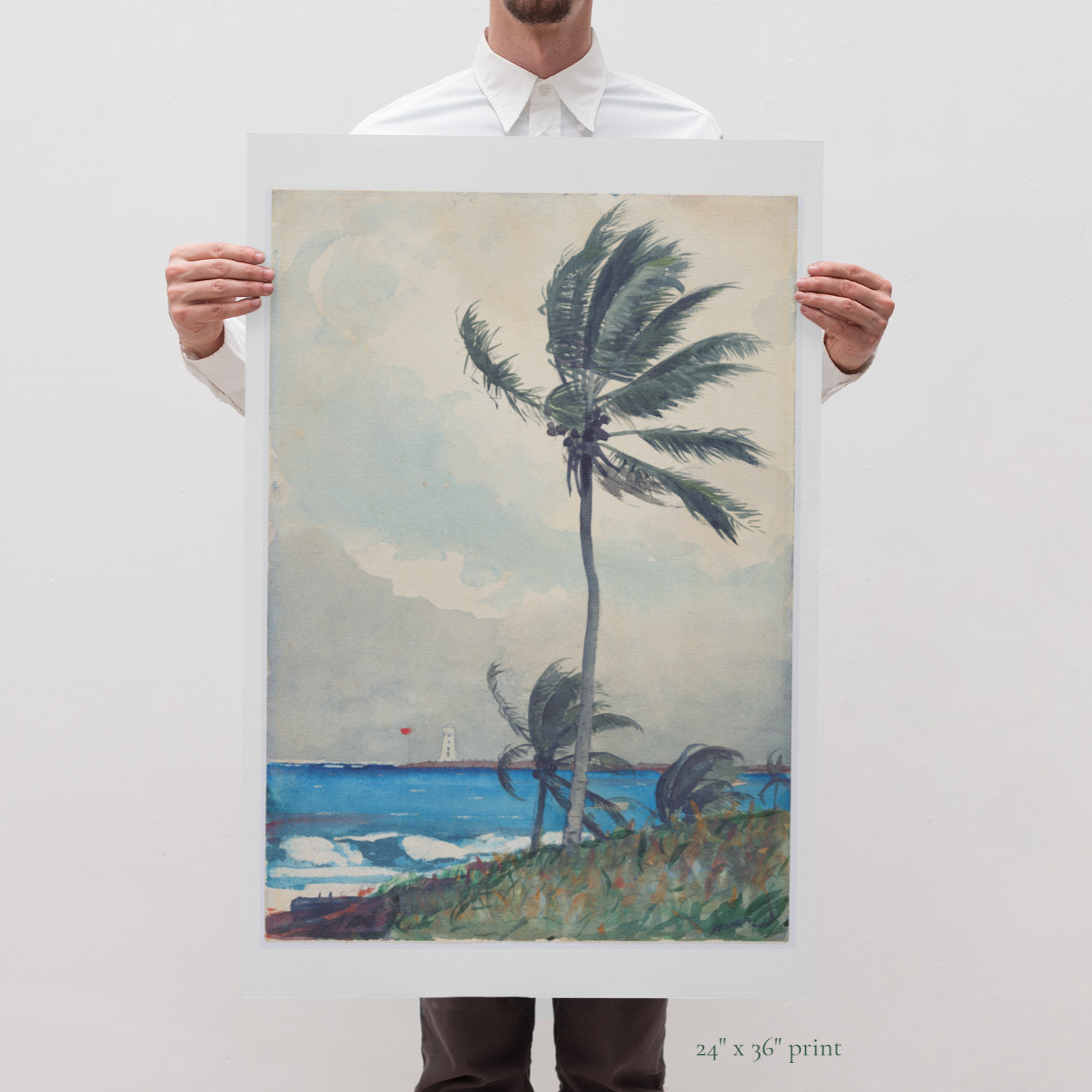Palm Tree in Nassau Winslow Homer Art Print